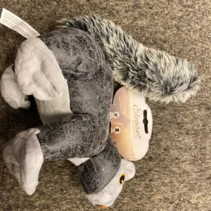 Elegant squirrel grey