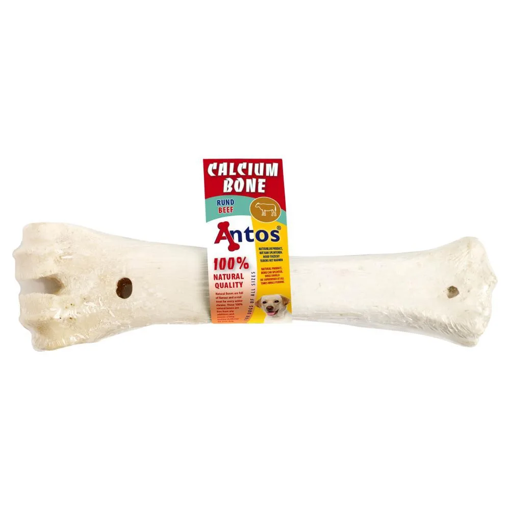 CALCIUM BONE