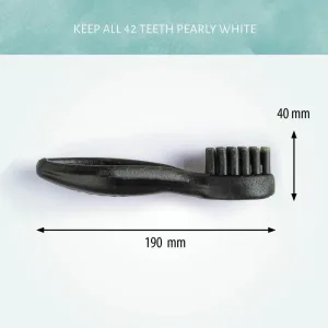 Cerea Brush XL 19 cm Assorti