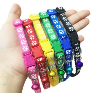 Test katten en kitten halsband