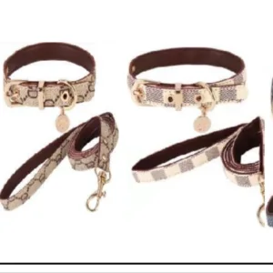 Halsband met riem t L