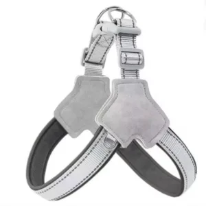 Test 2 modellen tuigen