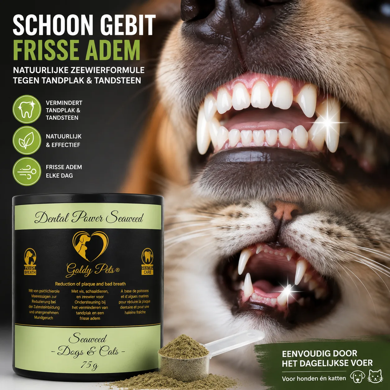 Goldy pets dental power seaweed 75 gr - Afbeelding 3