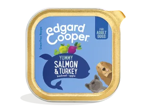 Poker Box Vario 2 Strategisch Spel