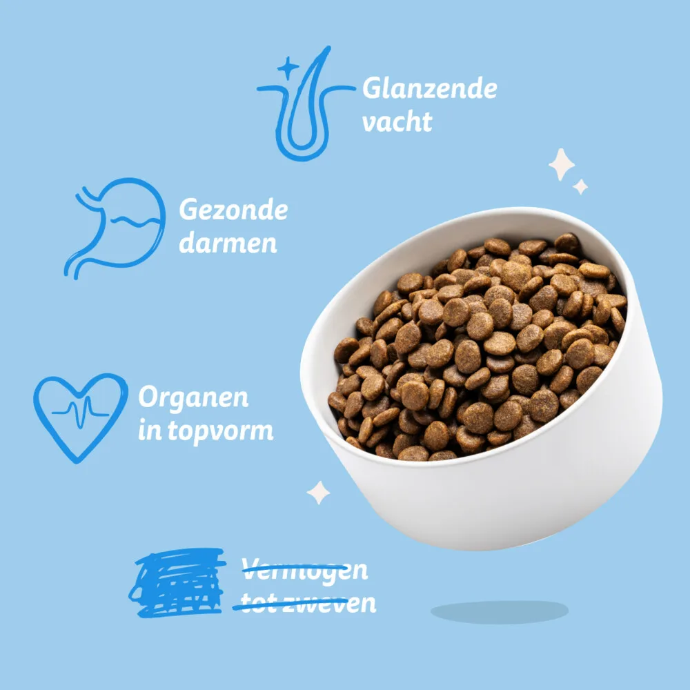 Edgard&Cooper hond adult brok zalm S 700gr - Afbeelding 6